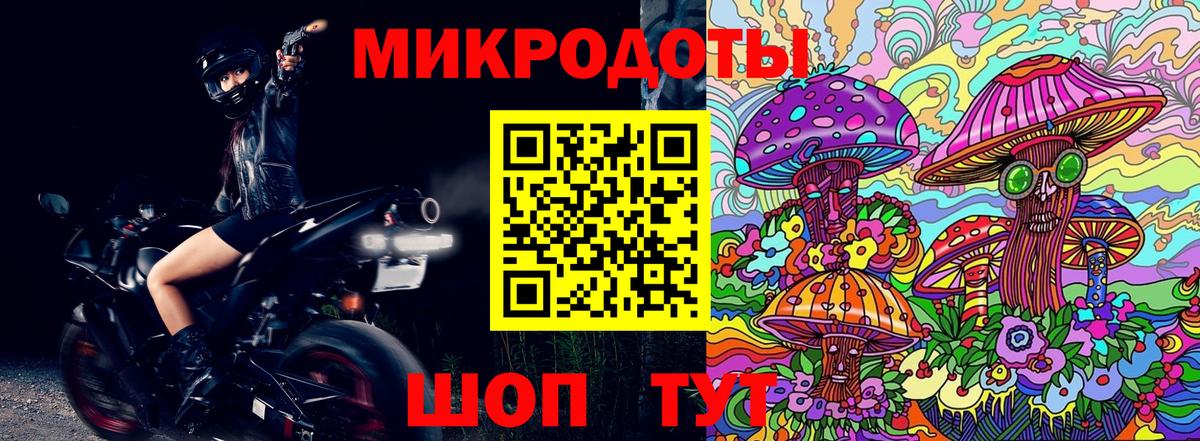 Псилоцибиновые грибы мицелий  Вход с VPN  Верхняя Пышма  Псилоцибиновые грибы Psilocybine cubensis 